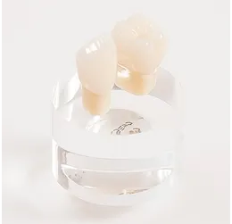 オールセラミック